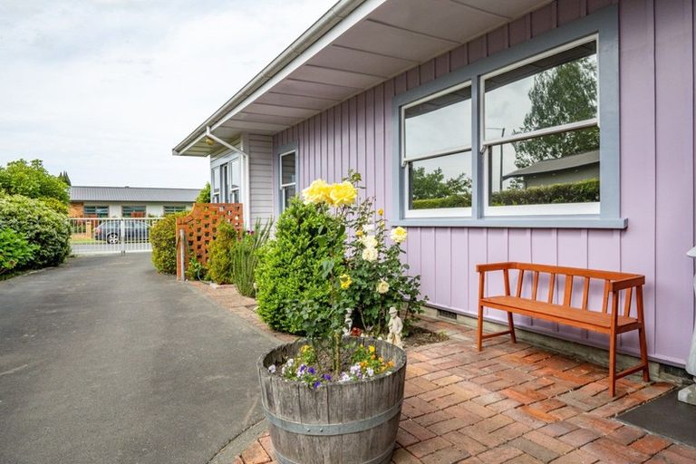 Photo of property in 704 Duke Street, Mahora, Hastings, 4120