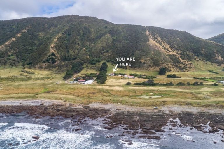 Photo of property in 451 Tora Farm Settlement Road, Tora, Martinborough, 5782