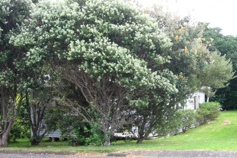 Photo of property in 19 Wallnutt Avenue, Waihi Beach, 3611