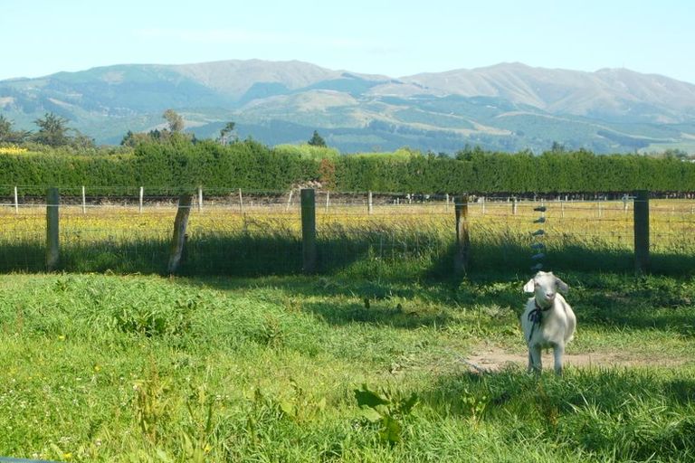 Photo of property in 52 Timaru Road, Waimate, 7924