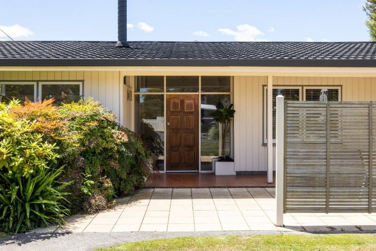 Photo of property in 717 York Street, Mahora, Hastings, 4120