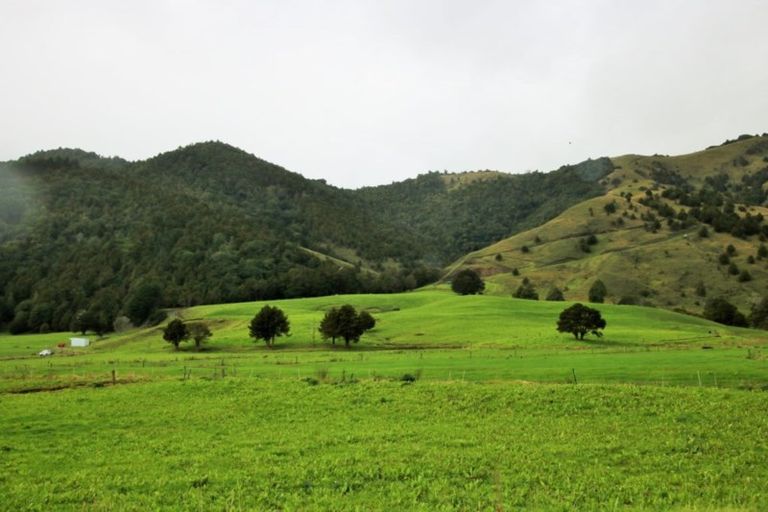 Photo of property in 1008 Tangowahine Valley Road, Tangowahine, Dargaville, 0372