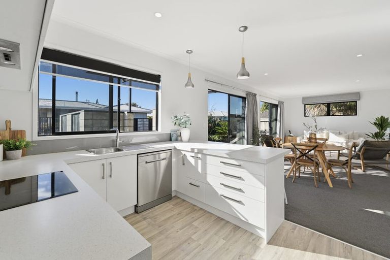 Photo of property in 14a Vine Avenue, Maungatapu, Tauranga, 3112