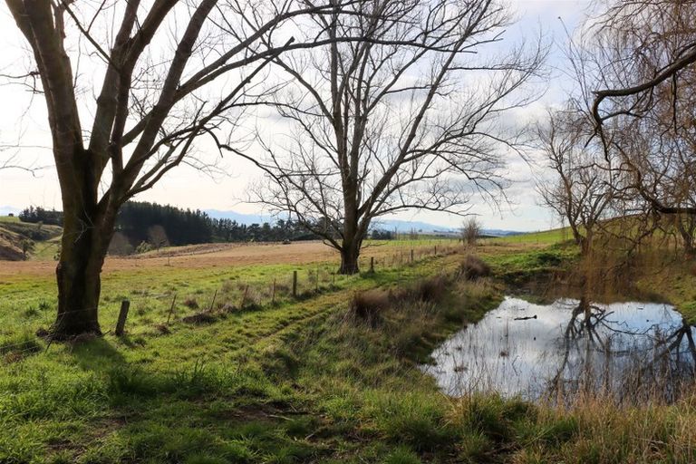 Photo of property in 231 Robinson Road, Cave, Pleasant Point, 7983