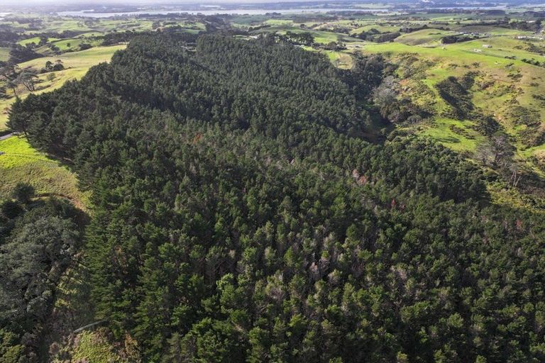 Photo of property in 2 Awhitu Road, Waiuku, 2683