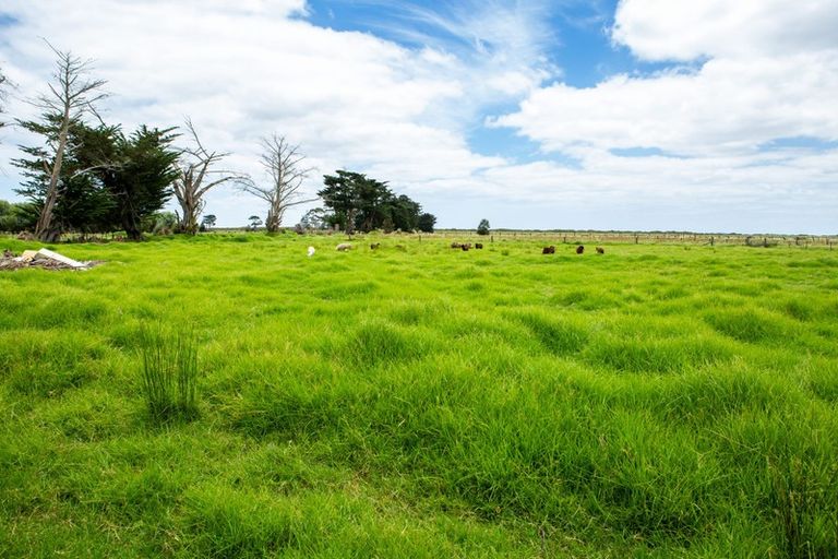 Photo of property in 401 Kumi Road, Awanui, 0486