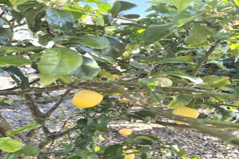 Photo of property in 67 Worsnop Road, Ruatangata West, Whangarei, 0176