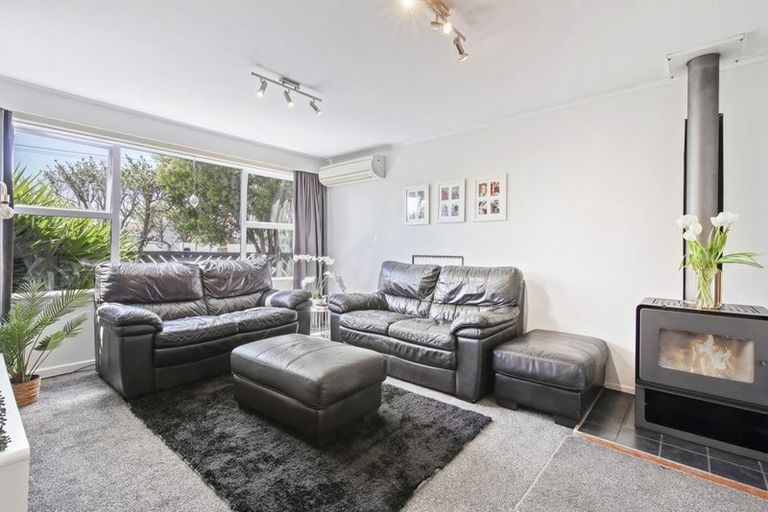 Photo of property in 117 Joy Street, Shirley, Christchurch, 8061