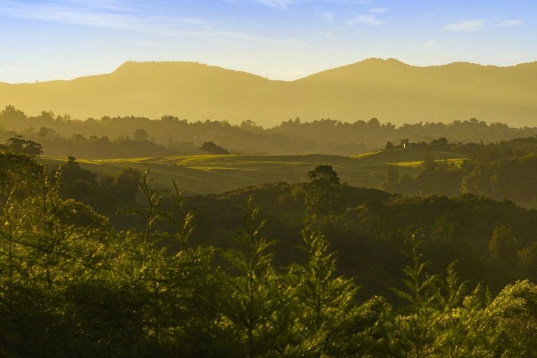 Photo of property in 236a Tim Road, Whakamarama, Tauranga, 3180