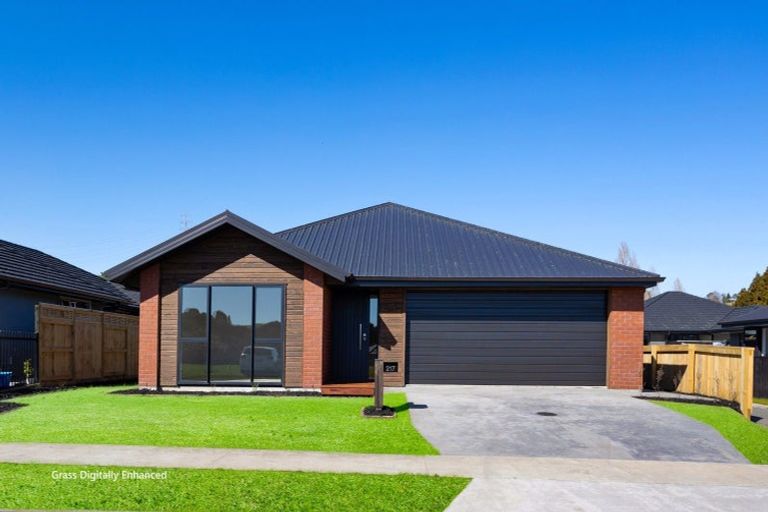 Photo of property in 217 Adler Drive, Ohauiti, Tauranga, 3112