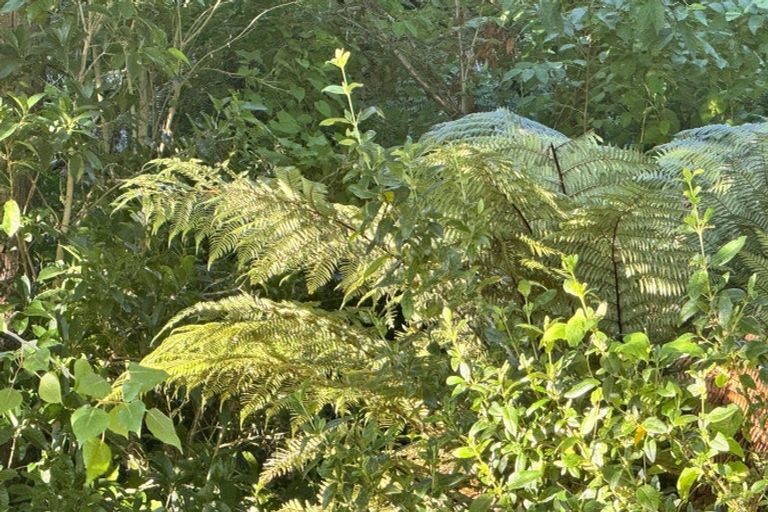 Photo of property in 70 Te Whanga Road, Levin, 5572