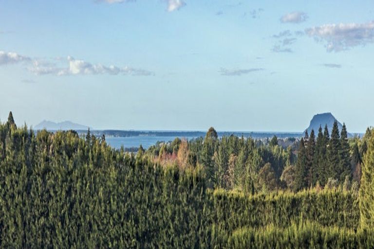 Photo of property in 38 Vernon Road, Minden, Tauranga, 3171