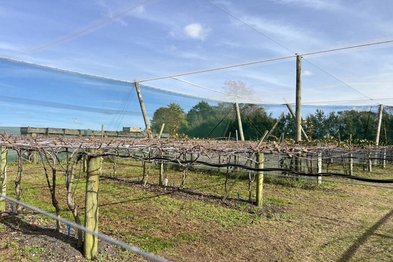 Photo of property in 341 Glenbrook Waiuku Road, Glenbrook, Waiuku, 2681