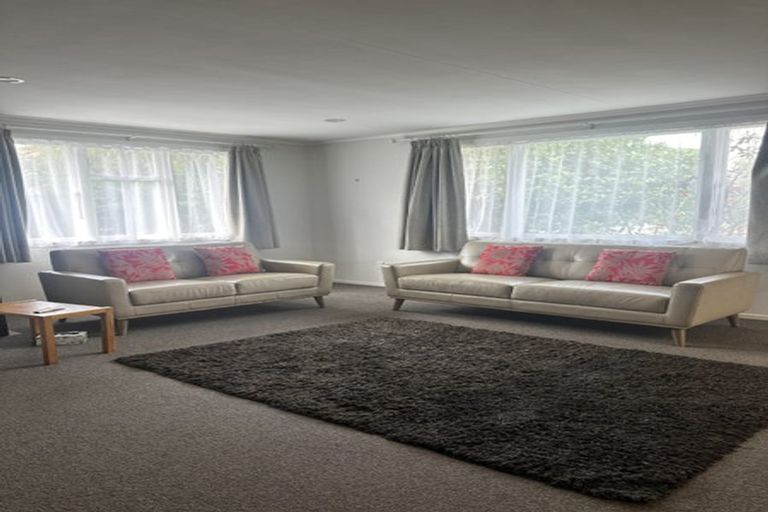 Photo of property in 217 Tripoli Road, Point England, Auckland, 1072