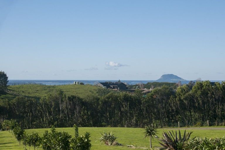 Photo of property in 108d Plummer Road, Whakamarama, Tauranga, 3179
