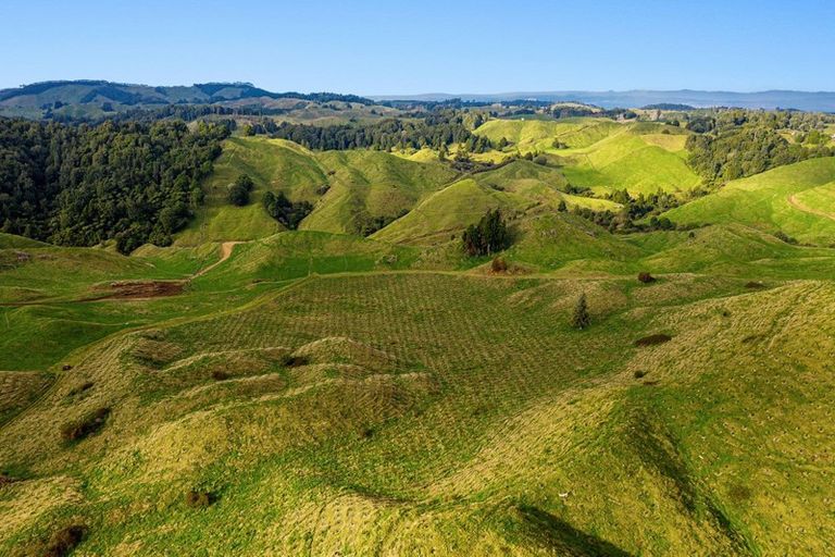 Photo of property in 31 Tarver Lane, Pikowai, Whakatane, 3194