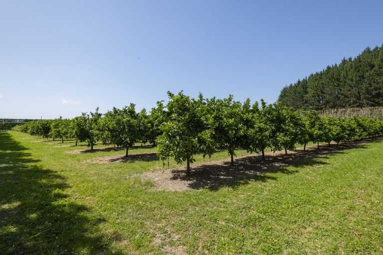 Photo of property in 98 Taurau Valley Road, Manutuke, 4072