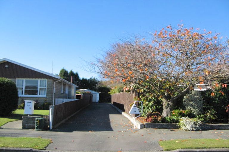 Photo of property in 20 Renwick Place, Hillmorton, Christchurch, 8025
