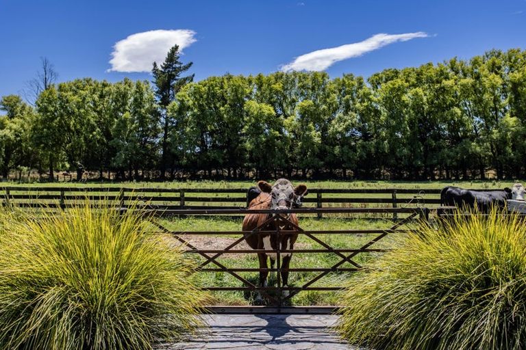 Photo of property in 78 Skewbridge Road, Flaxton, Kaiapoi, 7691