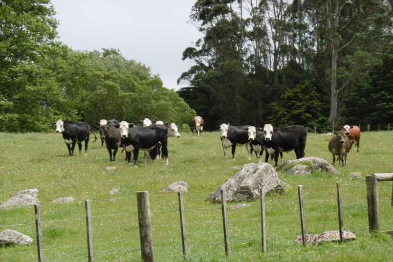 Photo of property in 170 Pigs Head Road, Whakapara, Hikurangi, 0184