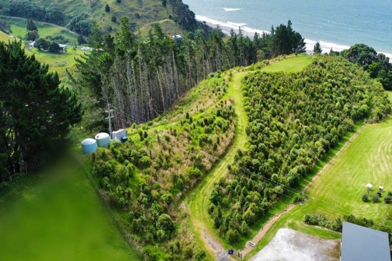 Photo of property in 761h State Highway 2 West, Pikowai, Matata, 3194