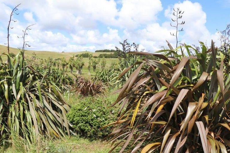 Photo of property in 883 Te Akau Road, Te Akau, Ngaruawahia, 3793