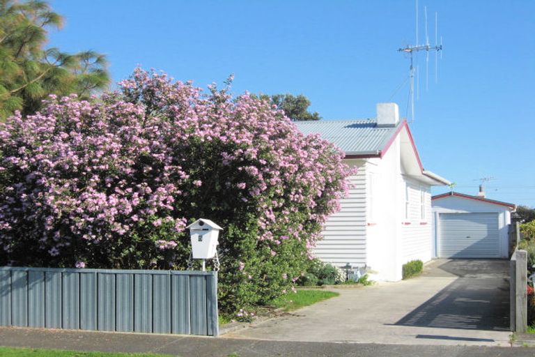 Photo of property in 5 Cobham Street, Levin, 5510