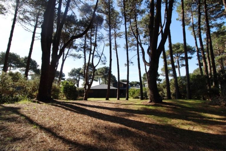 Photo of property in 800 Matarangi Drive, Matarangi, Whitianga, 3592