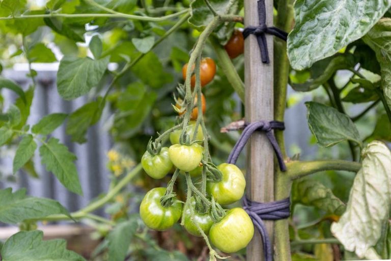 Photo of property in 55 Barrett Road, Whalers Gate, New Plymouth, 4310