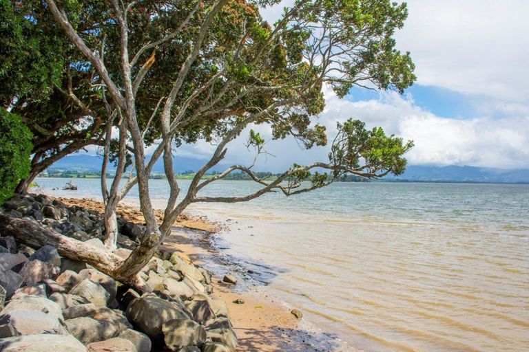 Photo of property in 35 Ruamoana Place, Omokoroa, 3114