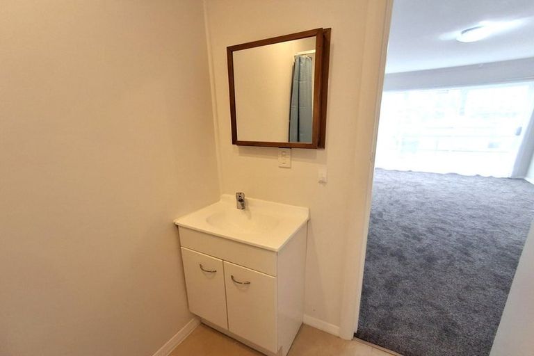 Photo of property in Avon Apartments, 11/313 The Terrace, Te Aro, Wellington, 6011