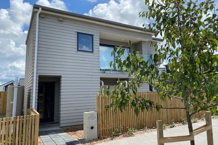 Photo of property in 29 Hiki Street, Hobsonville, Auckland, 0616