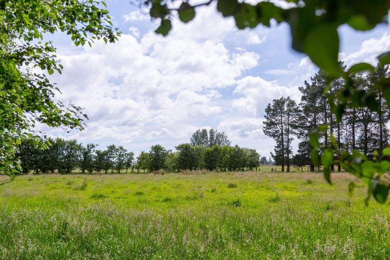 Photo of property in 179 Bidwills Cutting Road, Morison Bush, Greytown, 5794