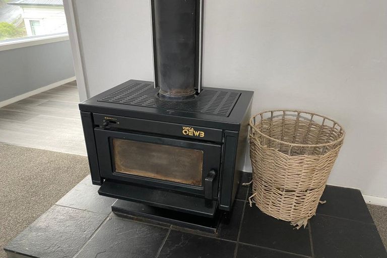 Photo of property in 102 Somerville Street, Andersons Bay, Dunedin, 9013