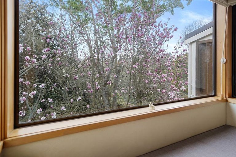 Photo of property in 42c Casey Avenue, Fairfield, Hamilton, 3214