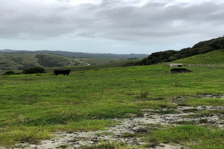 Photo of property in 283 J Tolhopf Road, Makarau, Warkworth, 0981