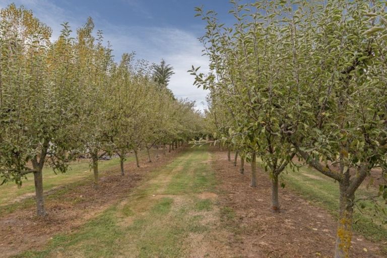 Photo of property in 80 Carters Terrace, Tinwald, Ashburton, 7700