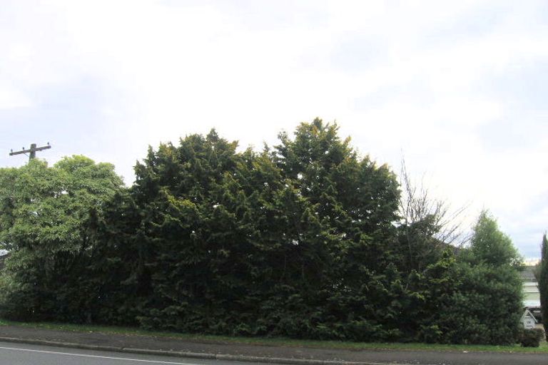 Photo of property in 28 Forest Lake Road, Forest Lake, Hamilton, 3200