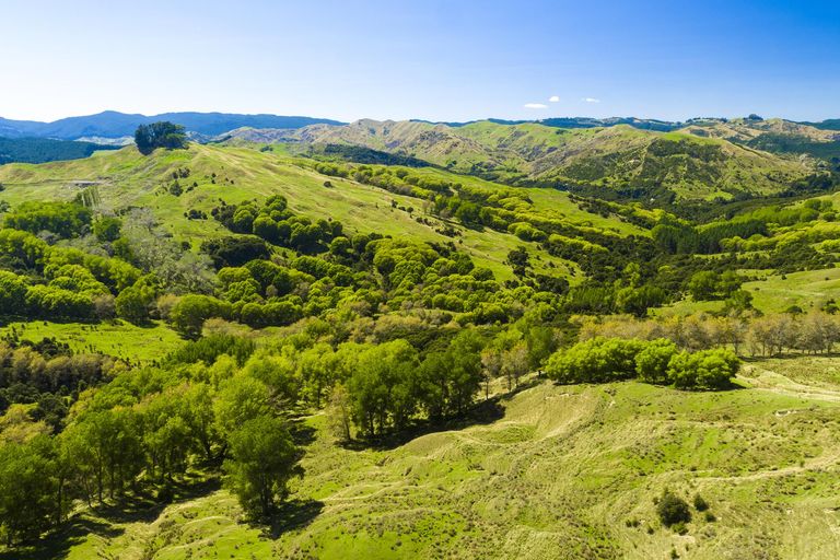 Photo of property in 1574 Kanakanaia Road, Whatatutu, Te Karaka, 4091