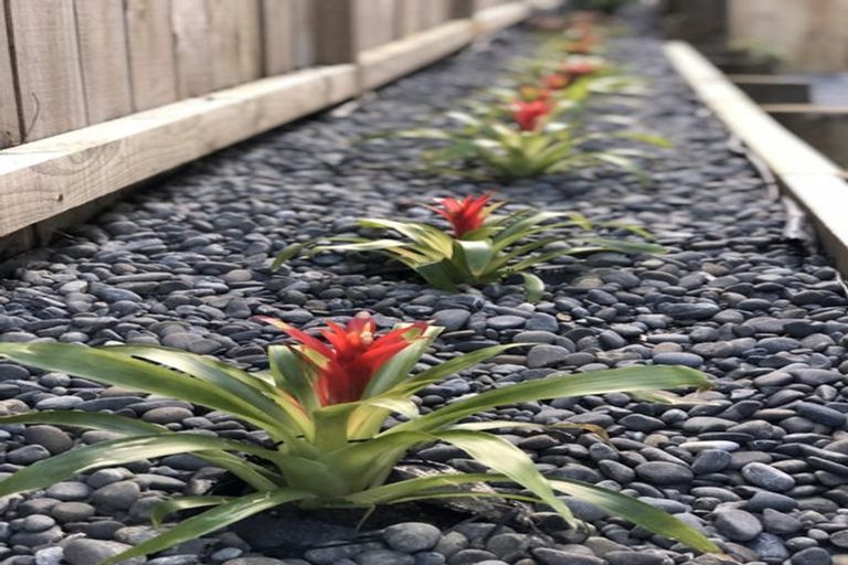 Photo of property in 119 Ormonde Drive, Silverdale, 0932