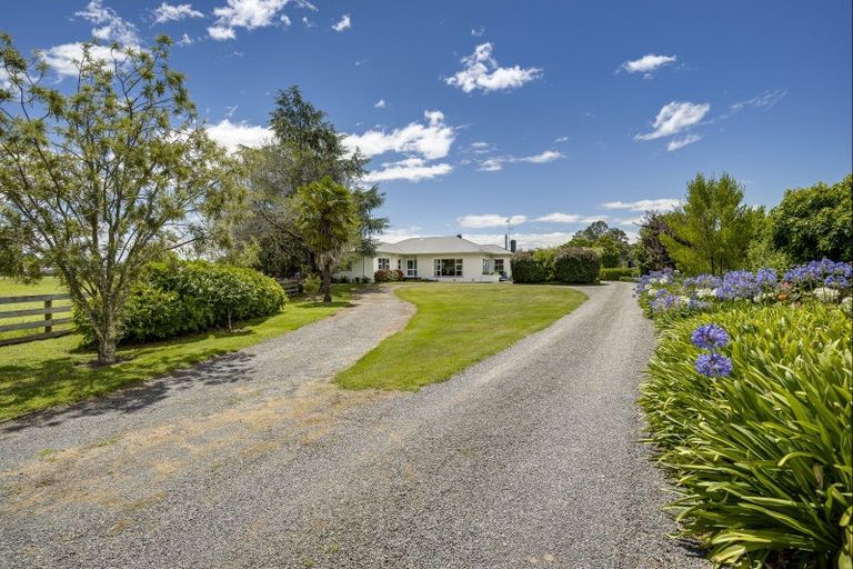 Photo of property in 1389 Maraekakaho Road, Longlands, Hastings, 4175