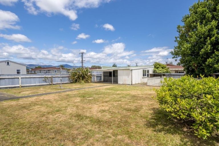 Photo of property in 60 Power Street, Levin, 5510
