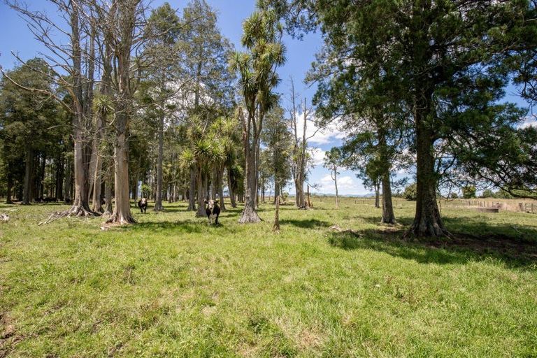 Photo of property in 455 Bush Road, Turua, Ngatea, 3597