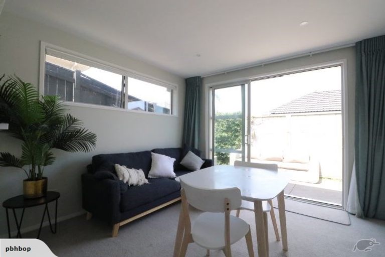 Photo of property in 47b Campbell Road, Mount Maunganui, 3116