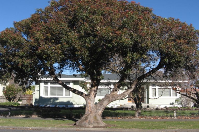 Photo of property in 12 Logan Avenue, Marewa, Napier, 4110