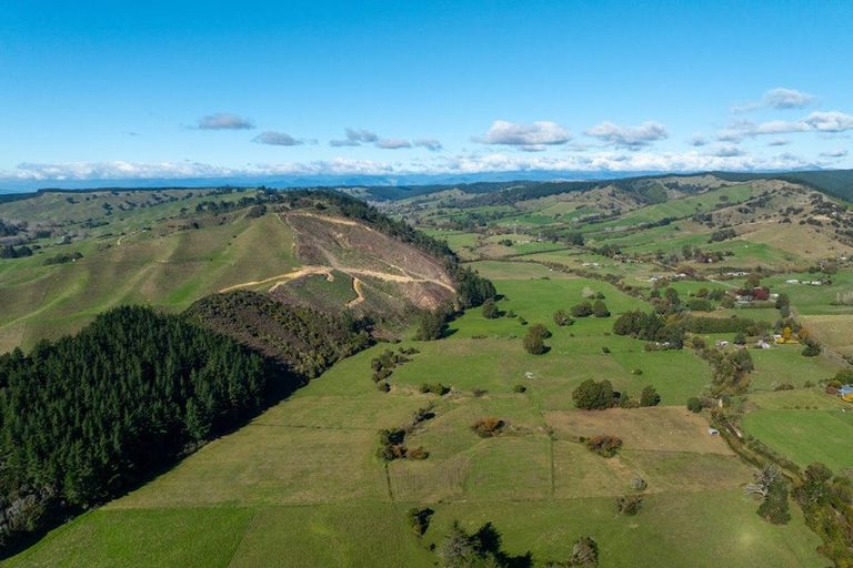 Photo of property in 924 Dovedale Road, Dovedale, Wakefield, 7096