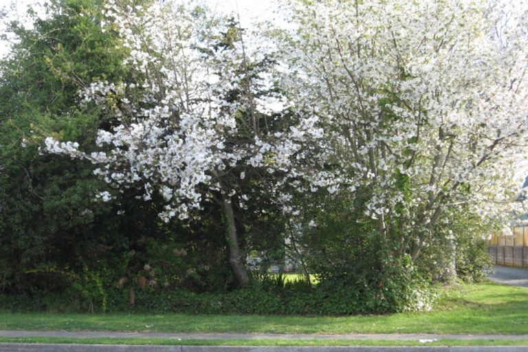 Photo of property in 64 Robinson Avenue, Holdens Bay, Rotorua, 3010