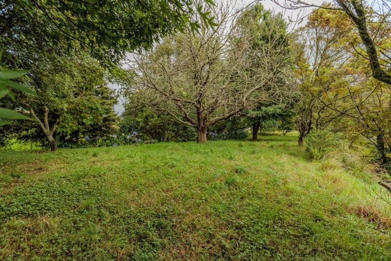 Photo of property in 47 Pook Road, Buckland, Pukekohe, 2677