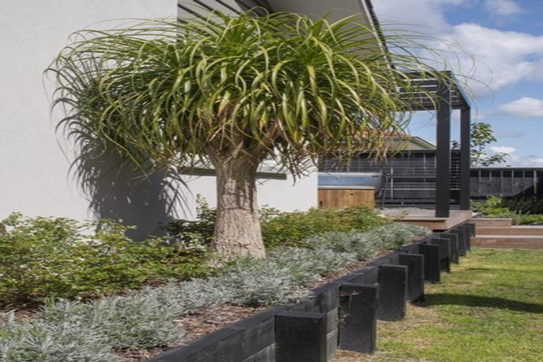 Photo of property in 206 Rowesdale Drive, Ohauiti, Tauranga, 3112