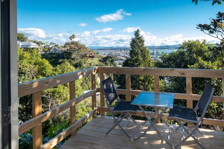 Photo of property in 11 Kowhai Road, Bluff Hill, Napier, 4110